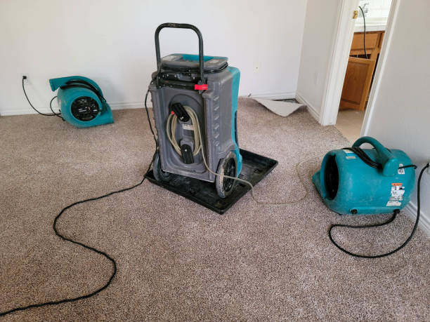 Water damage restoration process in Manning, SC