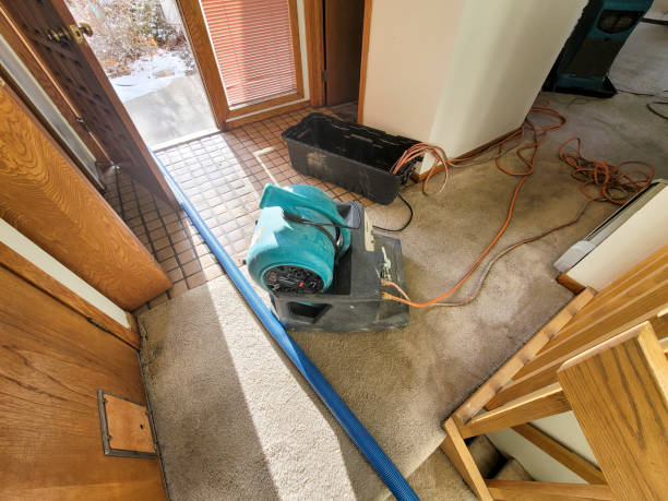 Best Water damage contractors near me  in Manning, SC