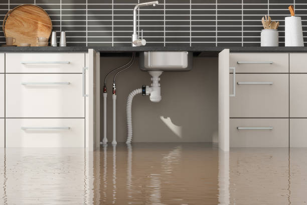 Best Local water damage restoration  in Manning, SC